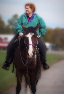 new york state horse council the erica raab inspirational award inspirational award